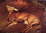 Study Of A Dead Stag by Sir Edwin Henry Landseer